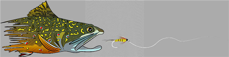 Fishing Series-DY 115